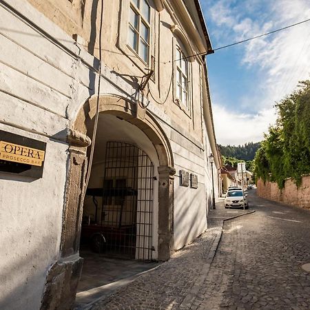 Apartman Blue Moon Banska Stiavnica Exterior photo
